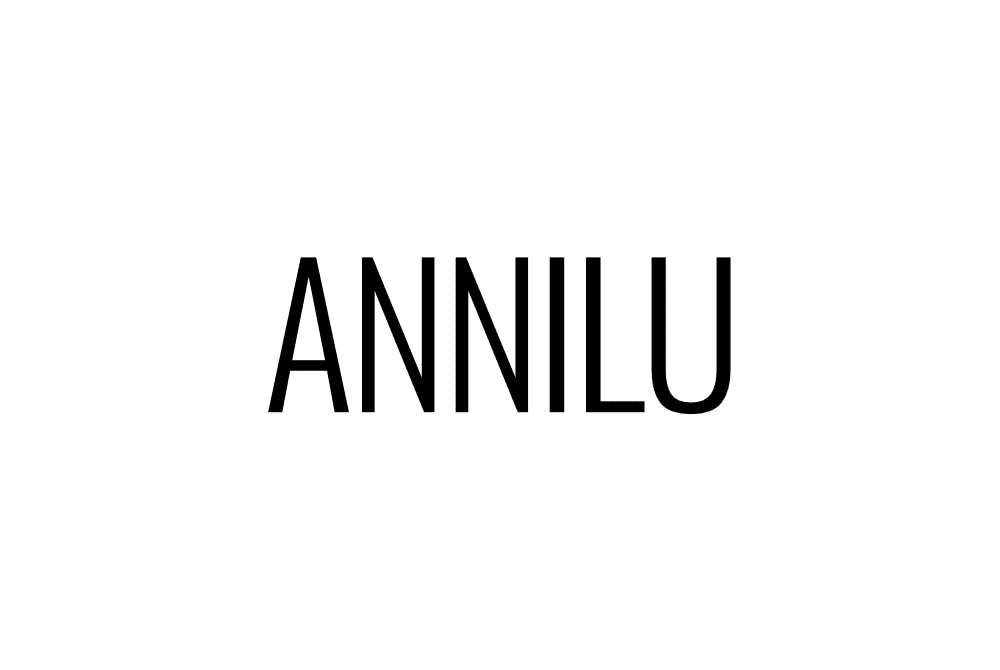 BS2107_logos_annilu_1.png